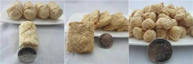 Textured Soya Bean Meat Processing Machine